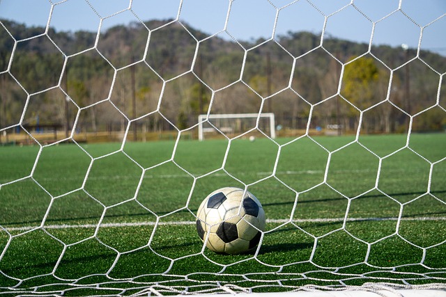 的轮换策略 的轮换策略