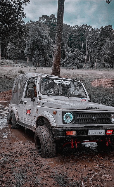 還常常回撤 還常常回撤