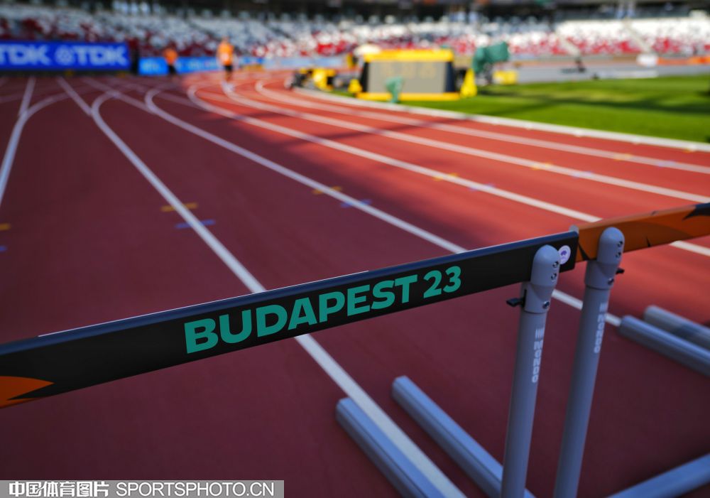 抓住了这一 抓住了这一