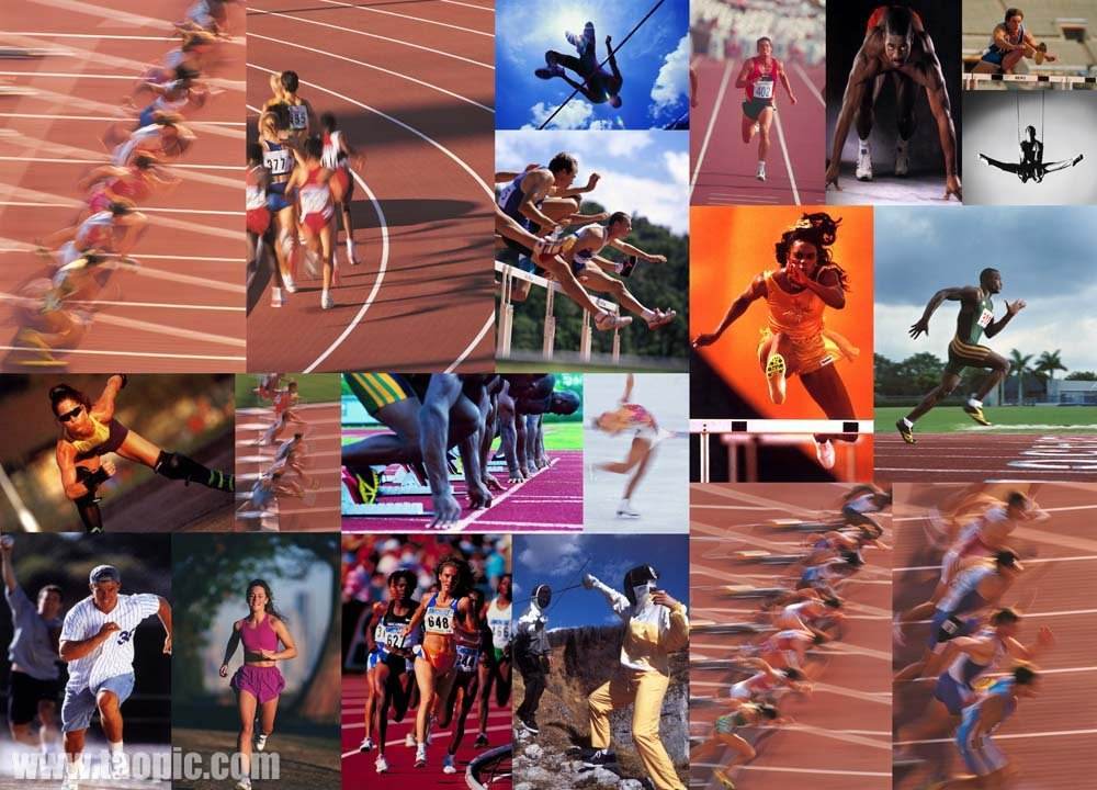 他都表现出 他都表现出